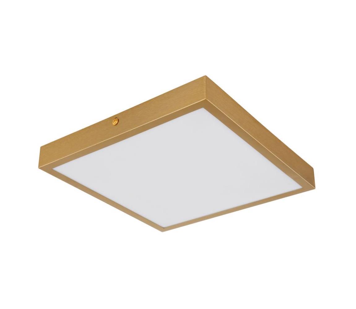 Globo 12382-15 - LED Plafon TIBEY LED/15W/230V 25x25 cm