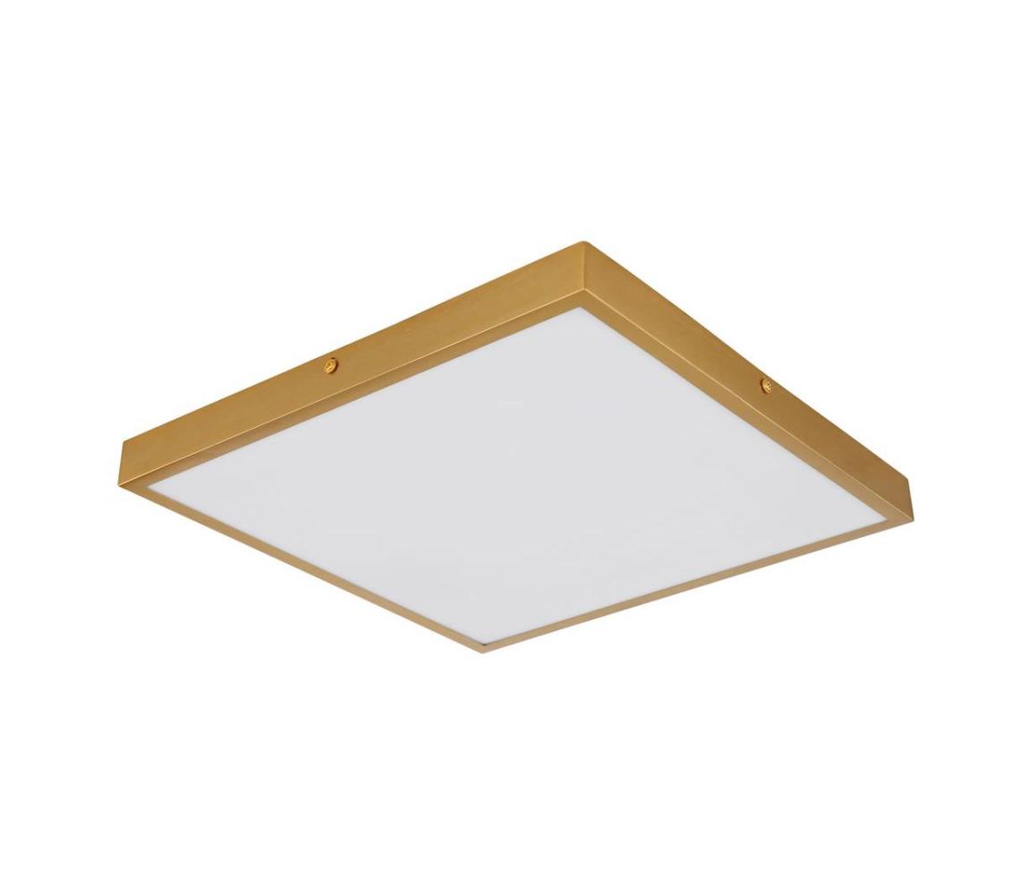 Globo 12382-22 - LED Plafon TIBEY LED/22W/230V 35x35 cm