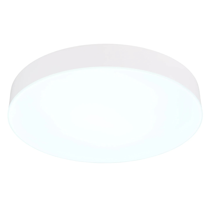 Globo - LED Plafon LED/24W/230V 3000K/4000K/6500K śr. 30 cm biały