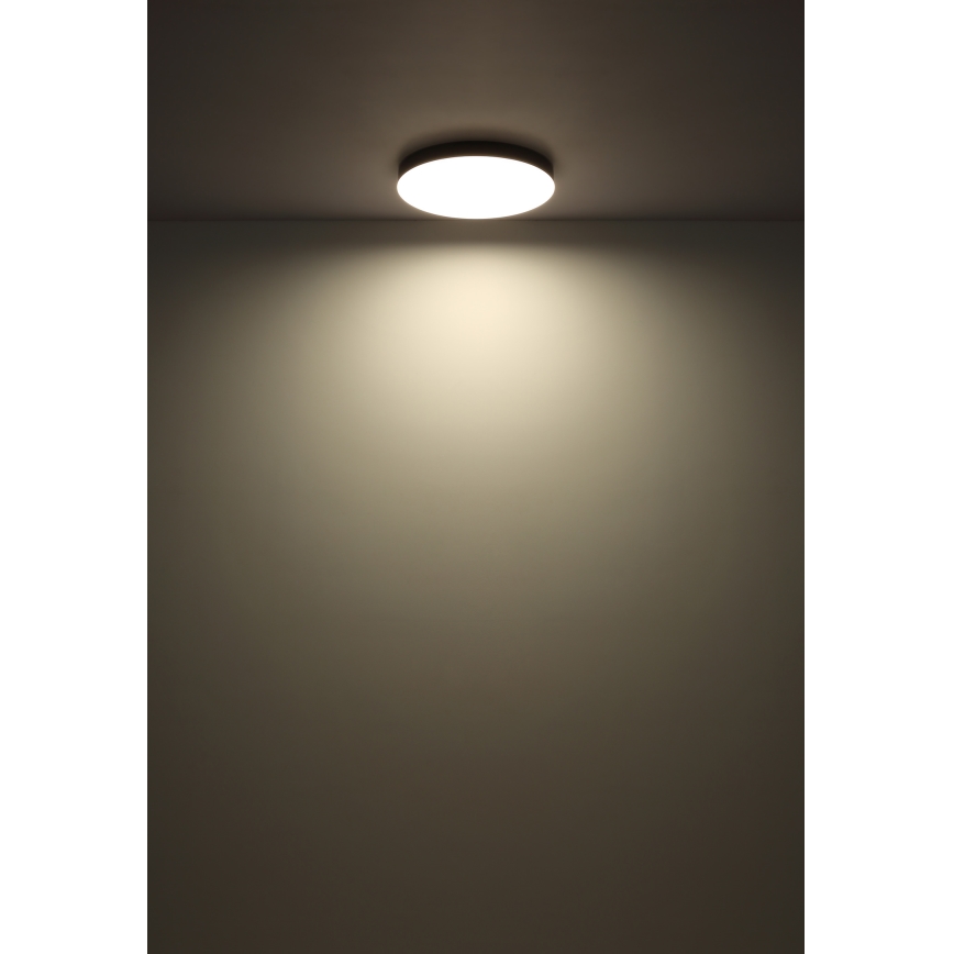 Globo - LED Plafon LED/50W/230V 3000K/4000K/6500K śr. 50 cm czarny