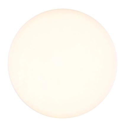 Globo - LED Plafon LED/12W/230V 4000K śr. 22 cm biały