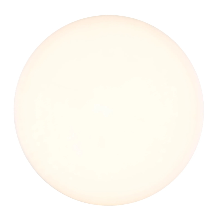 Globo - LED Plafon LED/12W/230V 4000K śr. 22 cm biały