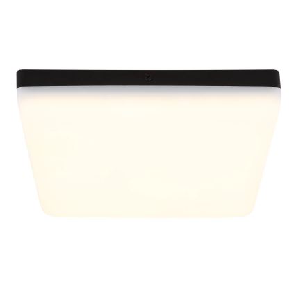 Globo - LED Plafon LED/12W/230V 4000K 22x22 cm czarny