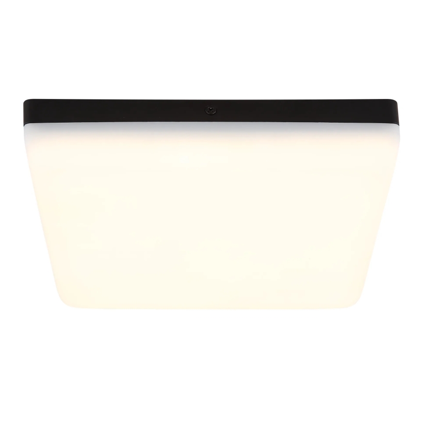 Globo - LED Plafon LED/12W/230V 4000K 22x22 cm czarny