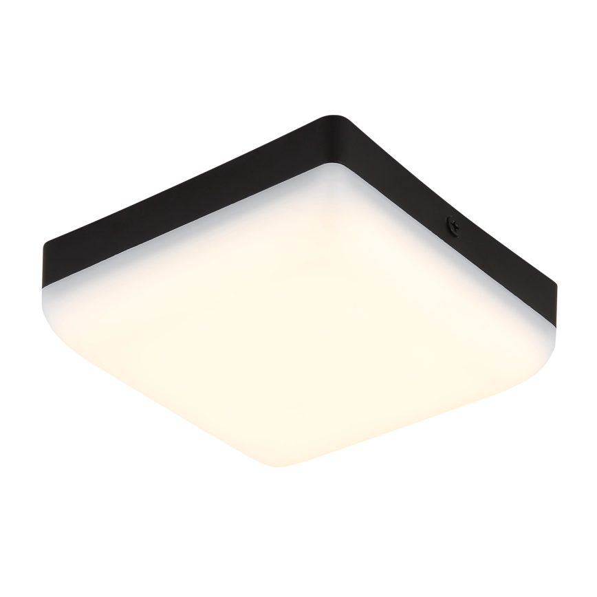 Globo - LED Plafon LED/8W/230V 4000K 12x12 cm czarny