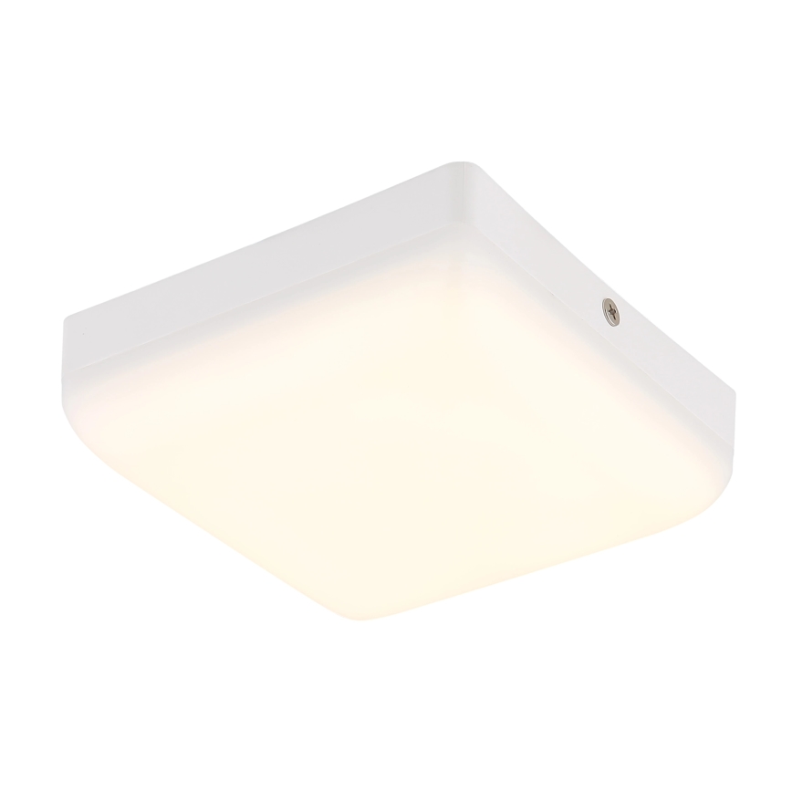 Globo - LED Plafon LED/8W/230V 4000K 12x12 cm biały