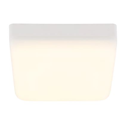 Globo - LED Plafon LED/8W/230V 4000K 12x12 cm biały