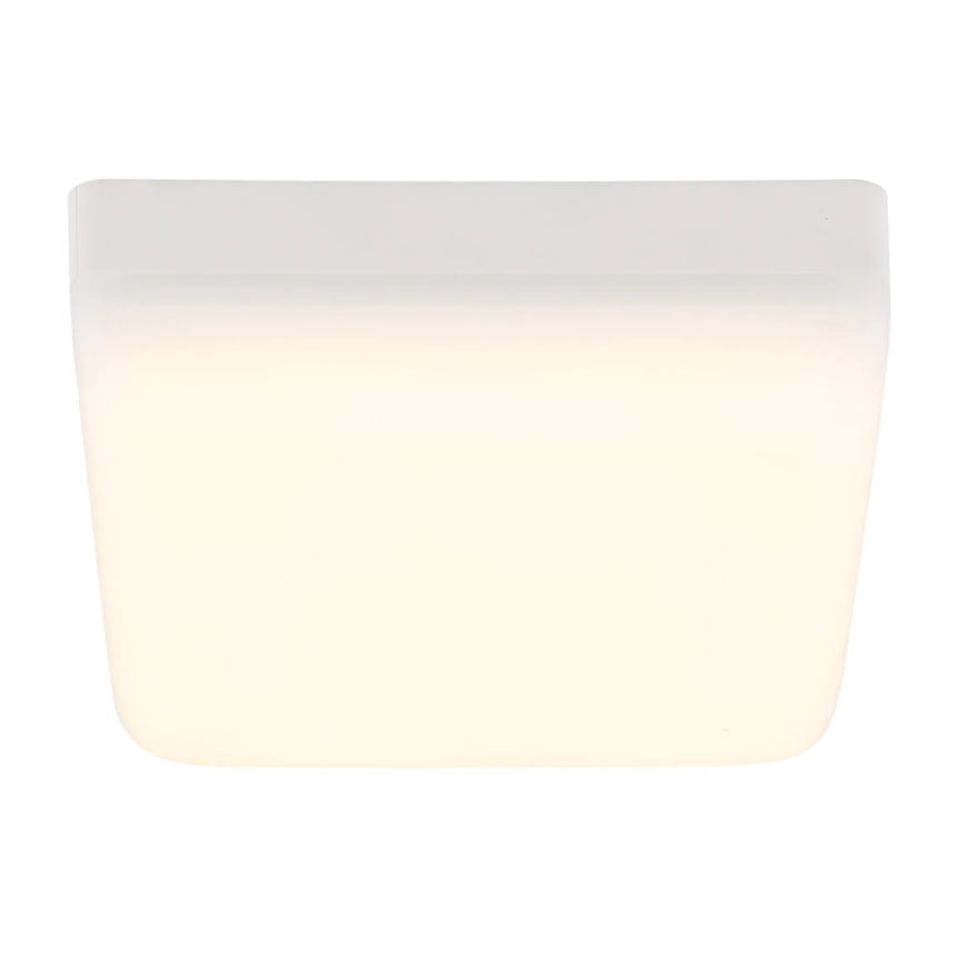 Globo - LED Plafon LED/8W/230V 4000K 12x12 cm biały