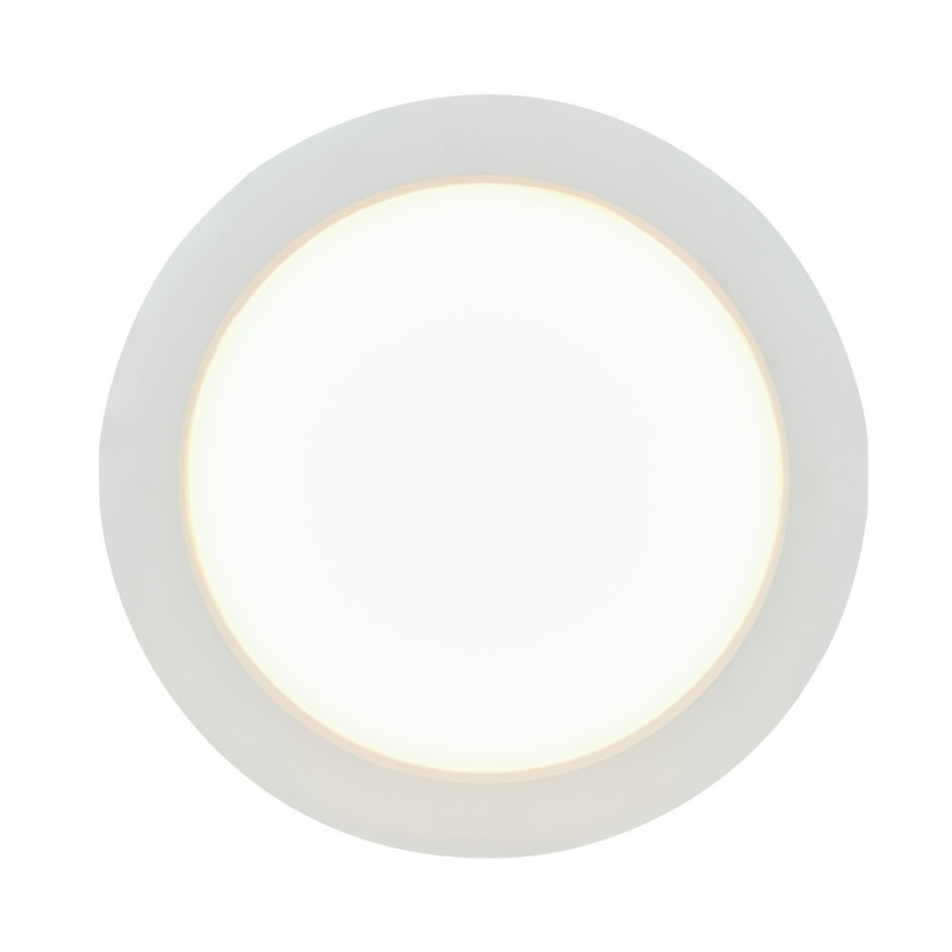 Globo - LED Łazienkowa oprawa wpuszczana LED/24W/230V IP65