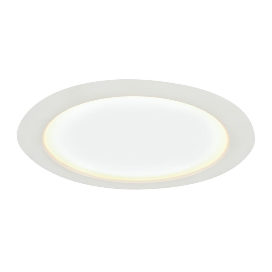 Globo - LED Łazienkowa oprawa wpuszczana LED/24W/230V IP65
