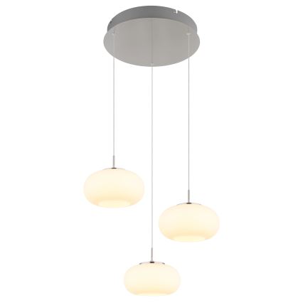 Globo - LED Żyrandol na lince 3xLED/6W/230V