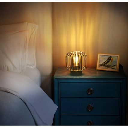 Globo - Lampa stołowa 1xE27/40W/230V