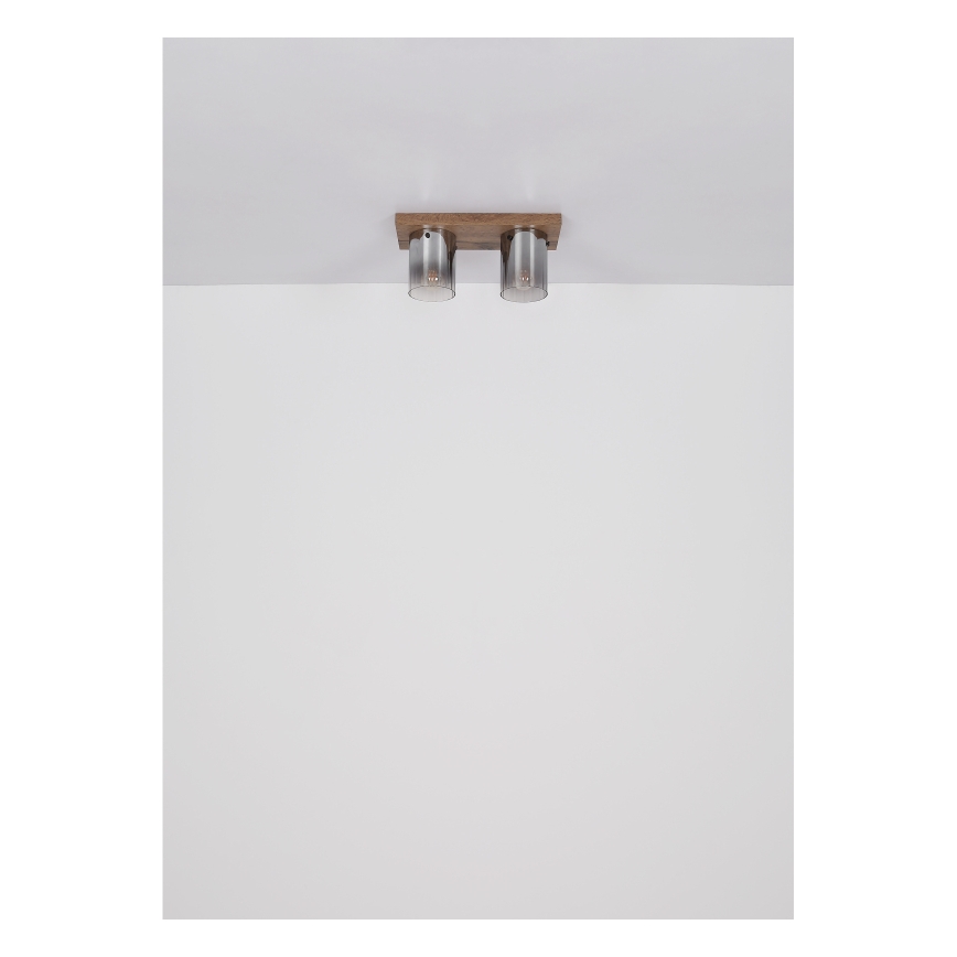 Globo - Lampa sufitowa 2xE27/40W/230V