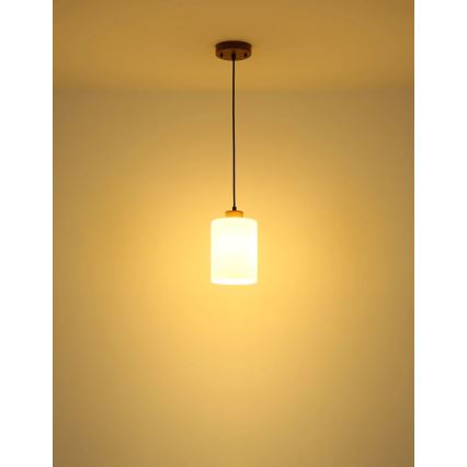 Globo - Lampa wisząca na lince 1xE27/60W/230V dąb/biały