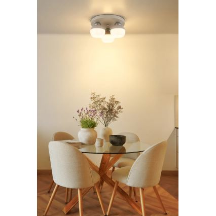 Globo - Lampa sufitowa 3xE27/60W/230V śr. 31,5 cm