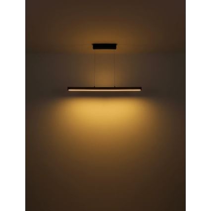 Globo - LED ściemnialny dotykowy żyrandol na lince LED/24W/230V + LED/3W 3000K brązowy