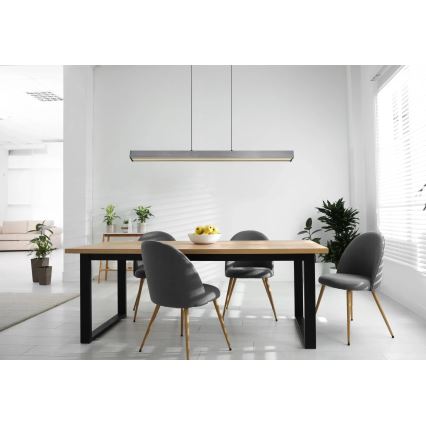 Globo - LED ściemnialny żyrandol dotykowy na lince LED/39W/230V 2700/4000/6000K szary