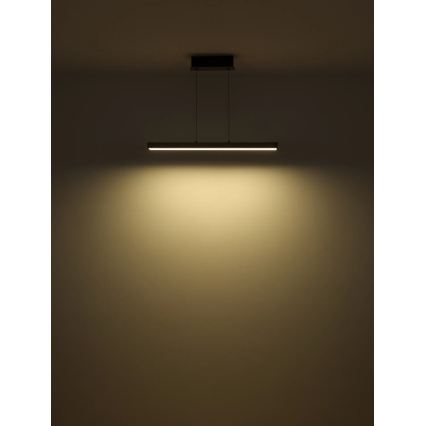Globo - LED ściemnialny żyrandol dotykowy na lince LED/39W/230V 2700/4000/6000K szary