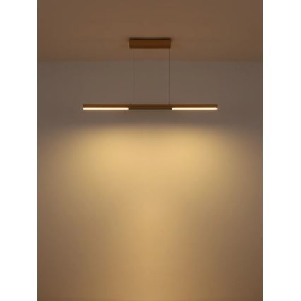 Globo - LED Żyrandol na lince LED/24W/230V 3000K