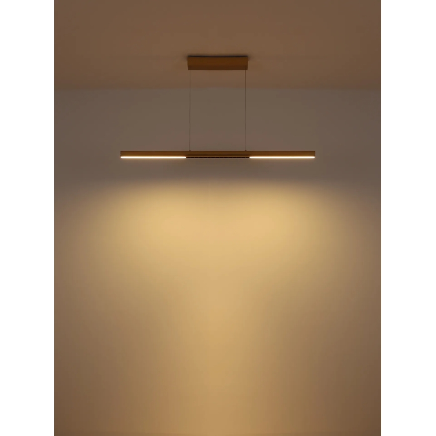 Globo - LED Żyrandol na lince LED/24W/230V 3000K