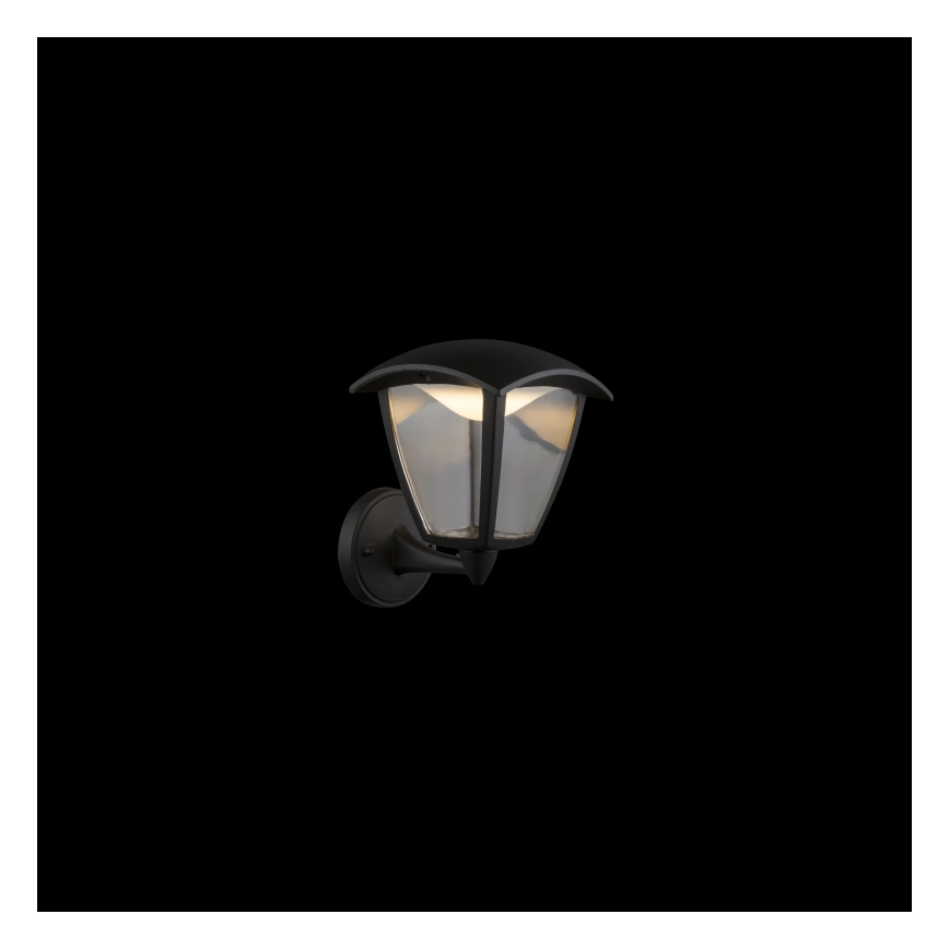 Globo - LED Kinkiet zewnętrzny LED/7W/230V IP54