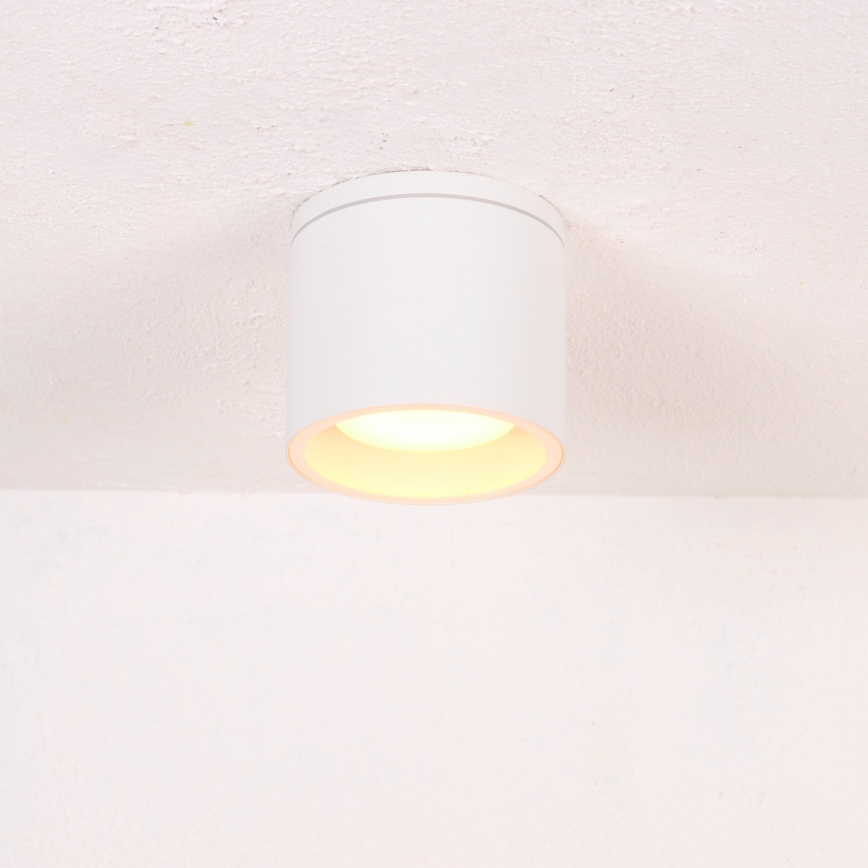 Globo - Plafon zewnętrzny 1xGX53/11W/230V IP44