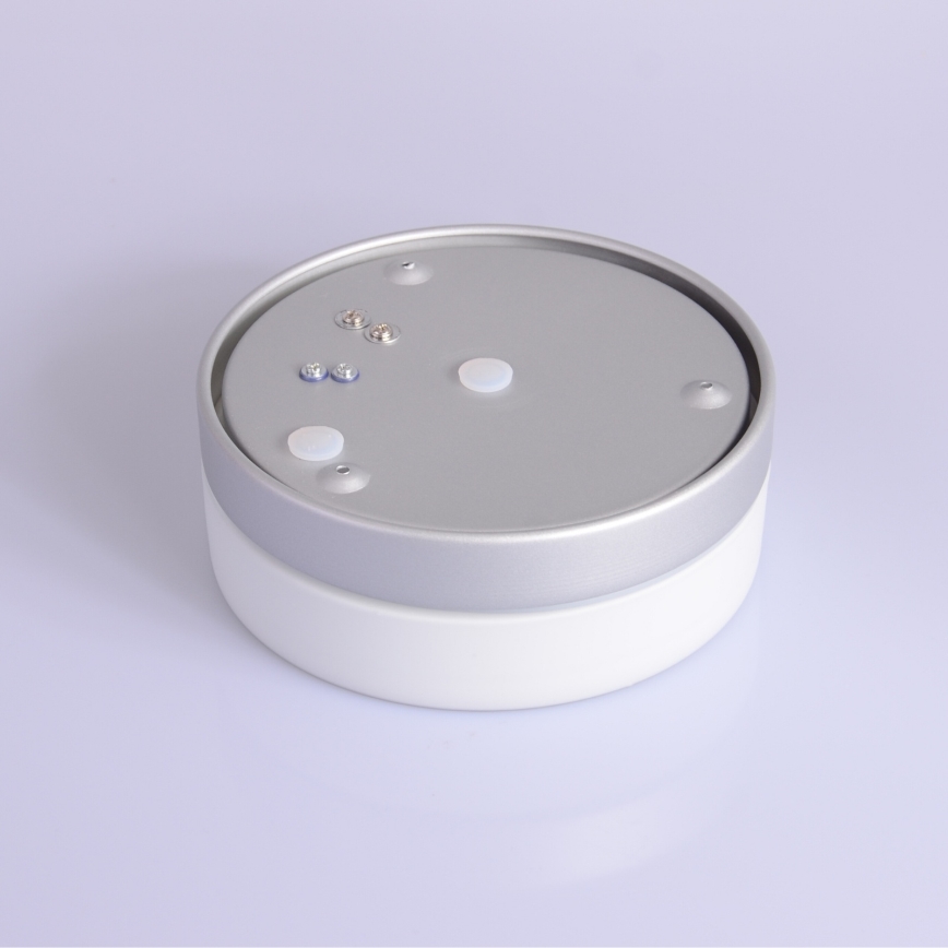 Globo - Oświetlenie łazienkowe 1xE27/60W/230V śr. 18,4 cm IP44