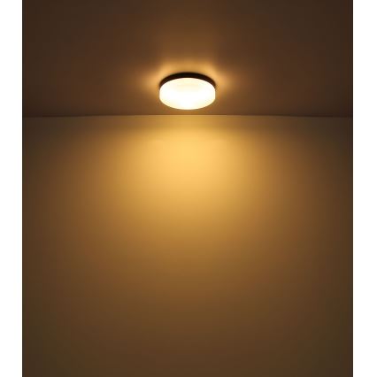 Globo - Oświetlenie łazienkowe 1xE27/60W/230V śr. 18,4 cm IP44