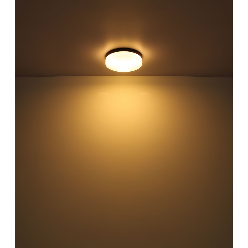 Globo - Oświetlenie łazienkowe 1xE27/60W/230V śr. 18,4 cm IP44