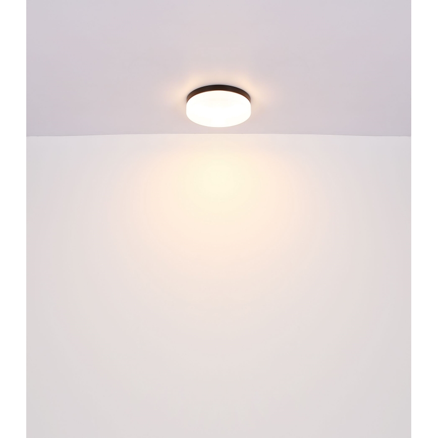 Globo - Oświetlenie łazienkowe 1xE27/60W/230V śr. 18,4 cm IP44