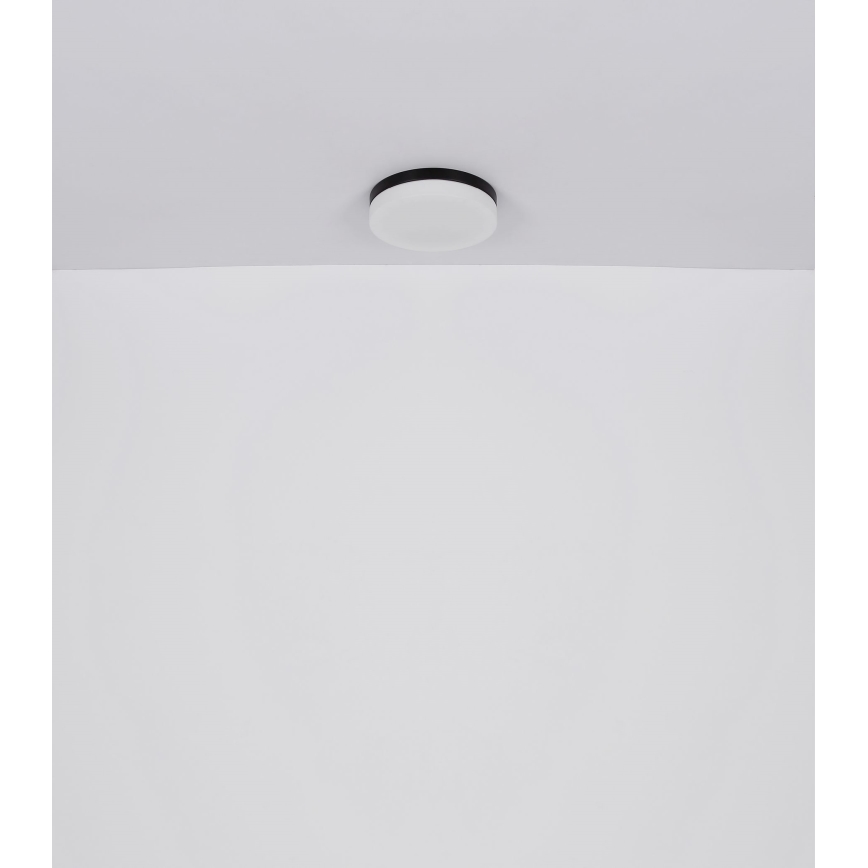 Globo - Oświetlenie łazienkowe 1xE27/60W/230V śr. 18,4 cm IP44
