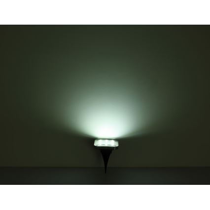 Globo - ZESTAW 2x LED Oświetlenie solarne LED/0,8W/1,2V IP44 300 mAh