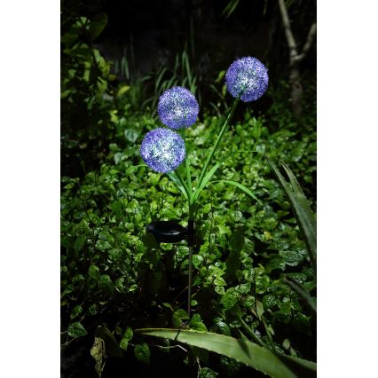 Globo - LED Oświetlenie solarne 3xLED/0,06W/3V 5000K IP44 fioletowe