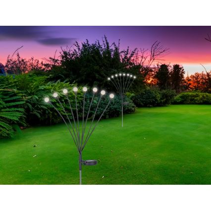 Globo - LED Oświetlenie solarne 8xLED/0,06W/3,2V 3000K IP44