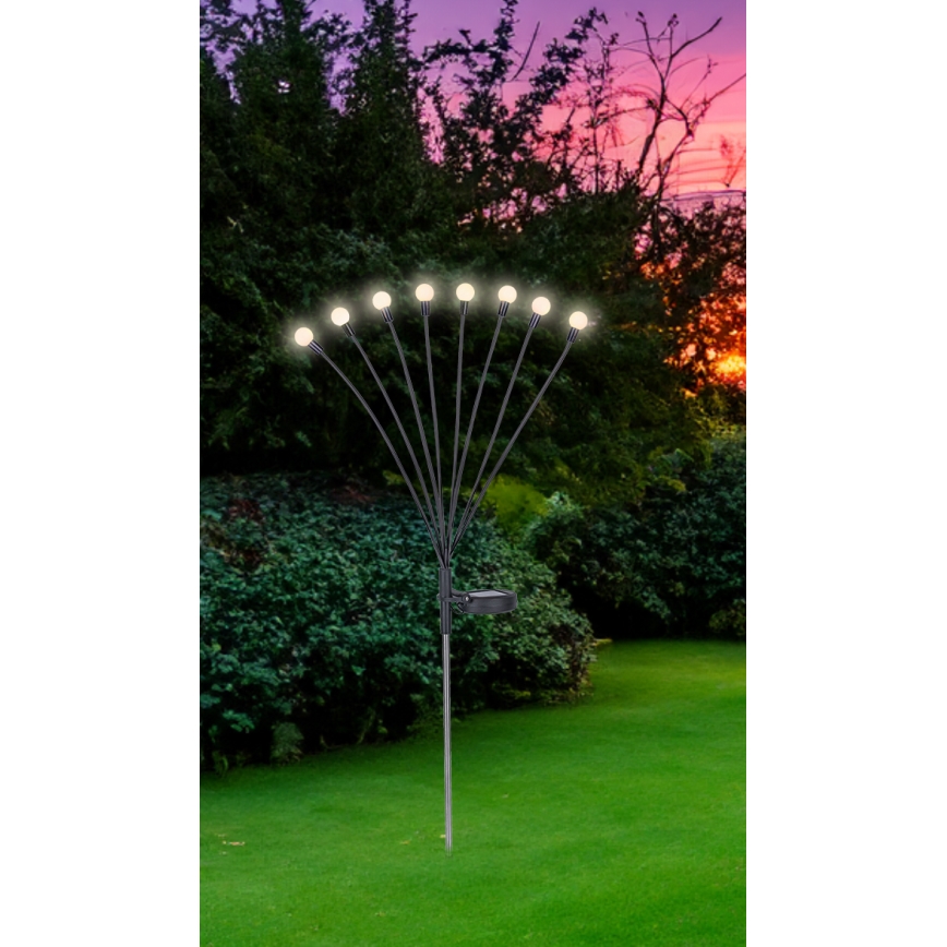 Globo - LED Oświetlenie solarne 8xLED/0,06W/3,2V 3000K IP44