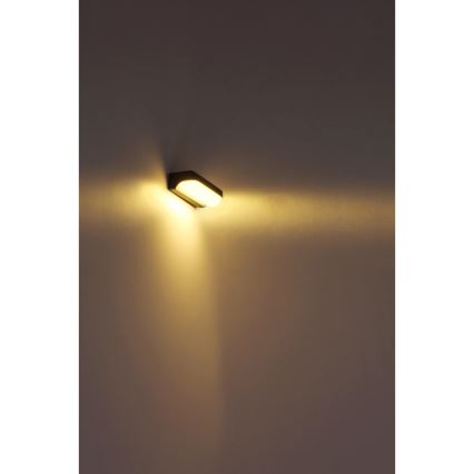 Globo - LED Kinkiet zewnętrzny LED/10W/230V IP54