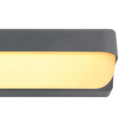 Globo - LED Kinkiet zewnętrzny LED/10W/230V IP54