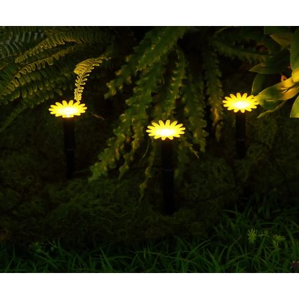 Globo - solarny łańcuch świetlny LED, 5 diod LED, 3V, IP44, 300 mAh, 2,2 m, kwiaty
