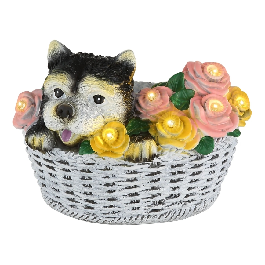 Globo - LED oprawa solarna LED/1,2V IP44 300 mAh pies