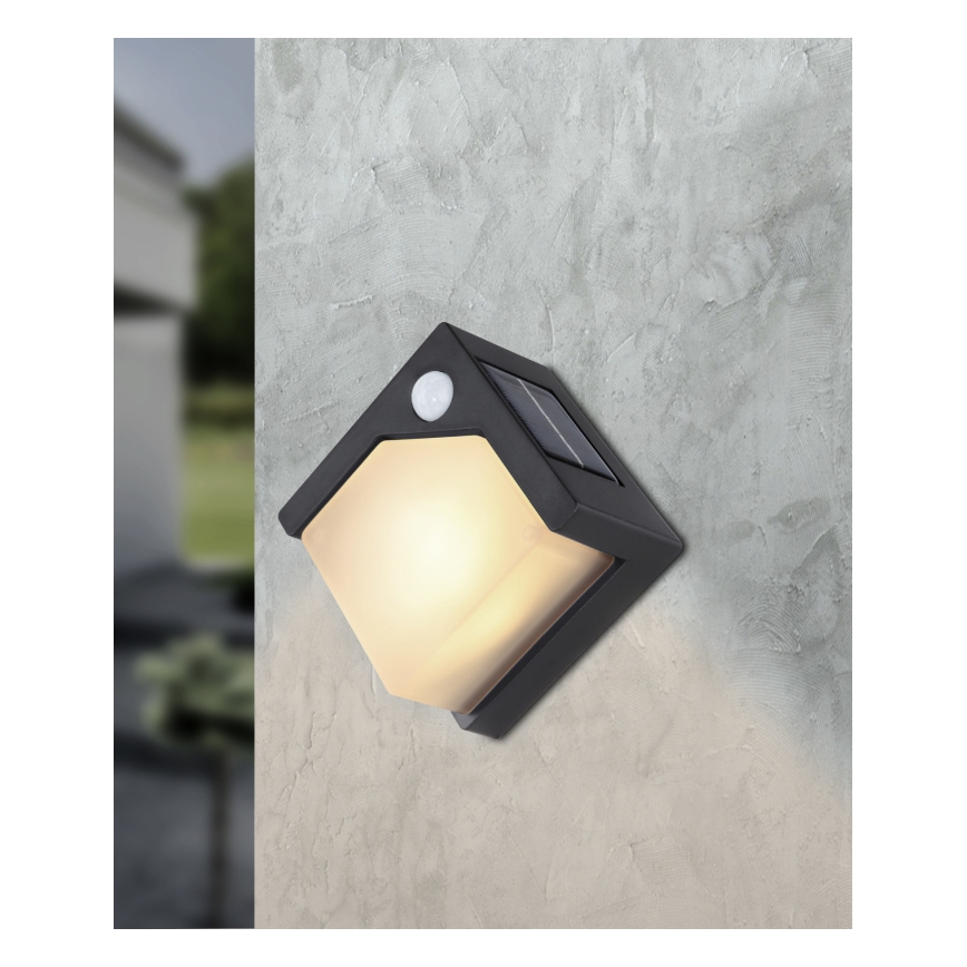 Globo - LED Lampa solarna z czujnikiem LED/0,48W/3V IP44 600 mAh
