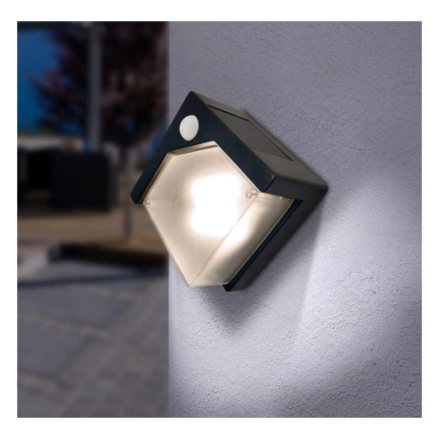 Globo - LED Lampa solarna z czujnikiem LED/0,48W/3V IP44 600 mAh