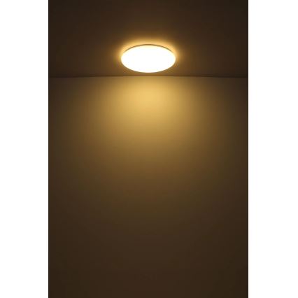 Globo - LED Plafon LED/24W/230V śr. 49,5 cm biały