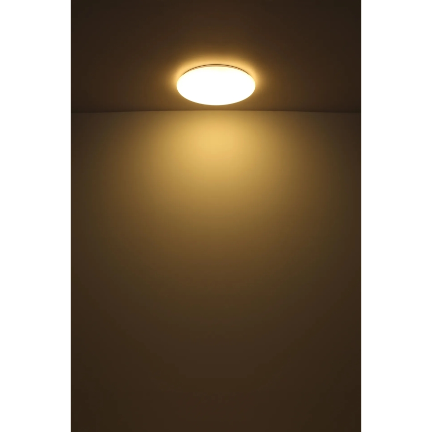 Globo - LED Plafon LED/24W/230V śr. 49,5 cm biały