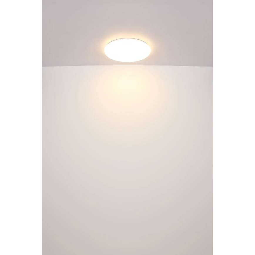 Globo - LED Plafon LED/24W/230V śr. 49,5 cm biały