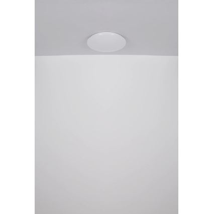 Globo - LED Plafon LED/24W/230V śr. 49,5 cm biały