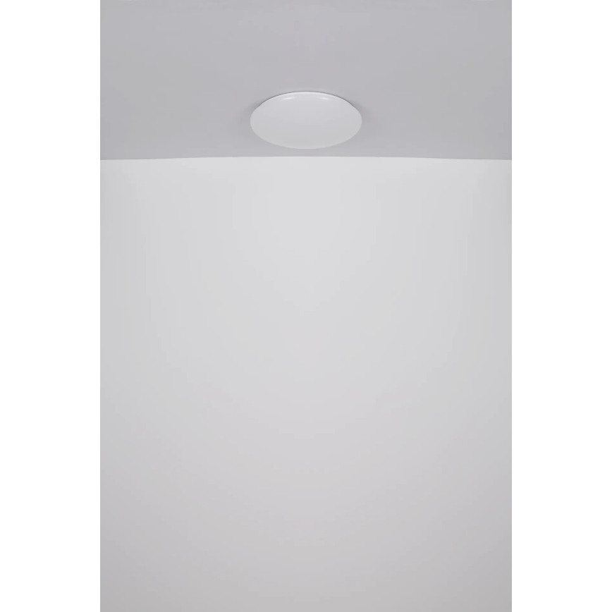 Globo - LED Plafon LED/24W/230V śr. 49,5 cm biały