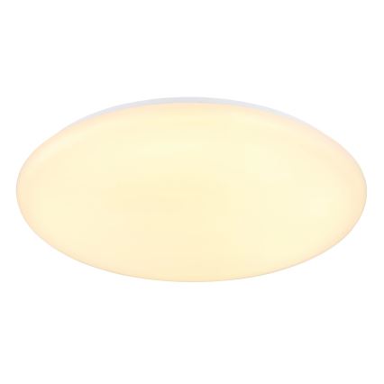 Globo - LED Plafon LED/24W/230V śr. 49,5 cm biały