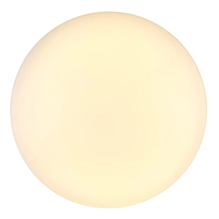 Globo - LED Plafon LED/24W/230V śr. 49,5 cm biały