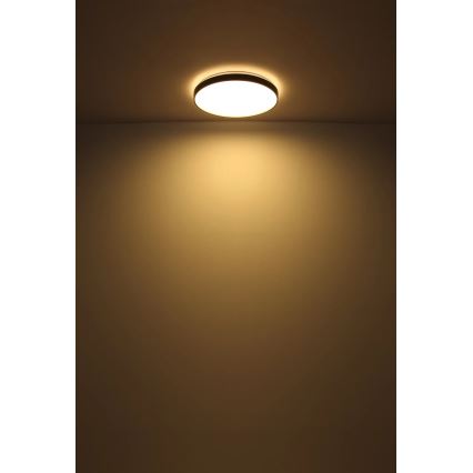 Globo - LED Plafon LED/24W/230V śr. 48 cm antracyt