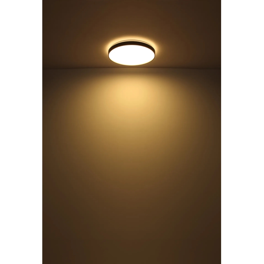 Globo - LED Plafon LED/24W/230V śr. 48 cm antracyt